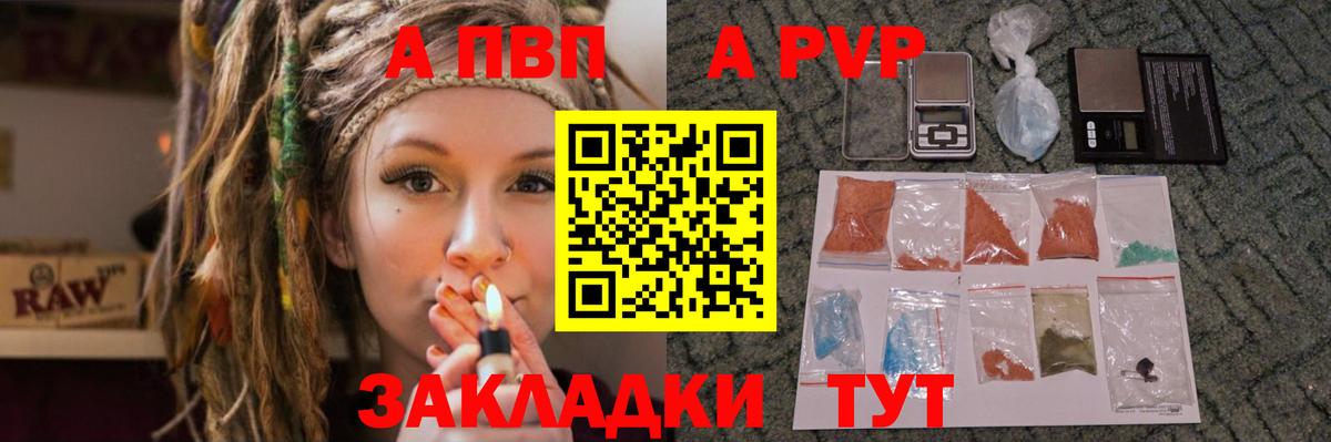 Альфа ПВП СК КРИС Ишим
